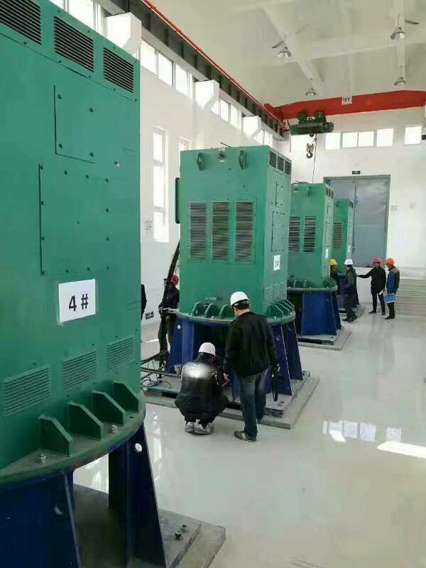 潢川某污水处理厂使用我厂的立式高压电机安装现场