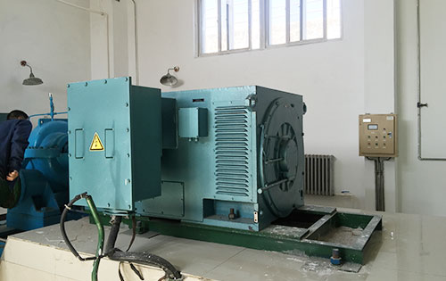 潢川某水电站工程主水泵使用我公司高压电机